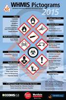 WHMIS 2015 Pictograms icon